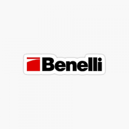 1655928002Benelli.png